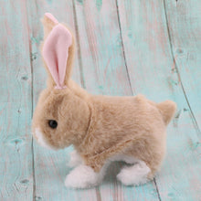 Load image into Gallery viewer, Rabbit small. 20-30 cm