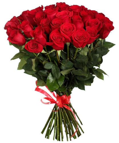 Elite Long Stem Red Roses