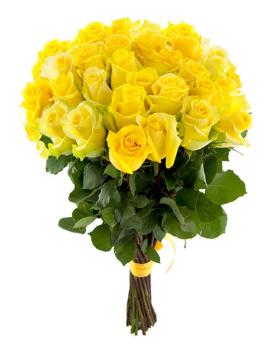 Elite Long Stem Yellow Roses @!!