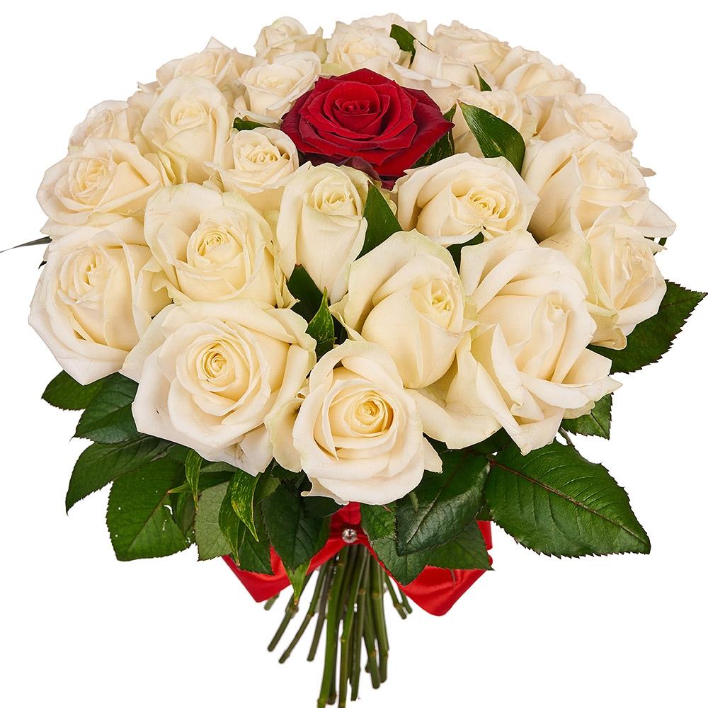 White and Red
